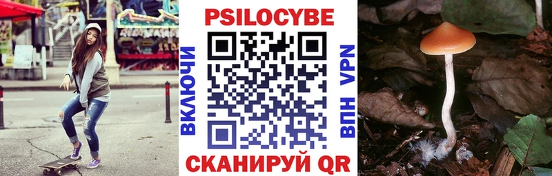 hydra сайт  даркнет сайт  Минусинск  Галлюциногенные грибы Psilocybine cubensis 