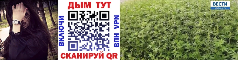 OMG tor Минусинск Шишки марихуана SATIVA & INDICA где найти